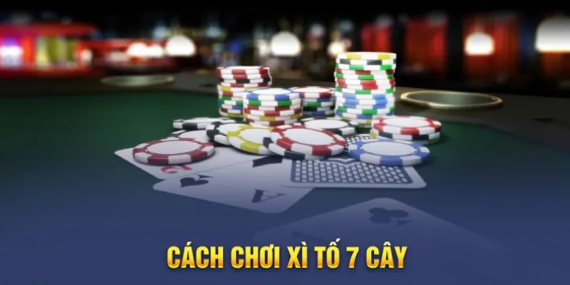 Lý giải mọi khía cạnh của cách chơi Xì tố 7 cây